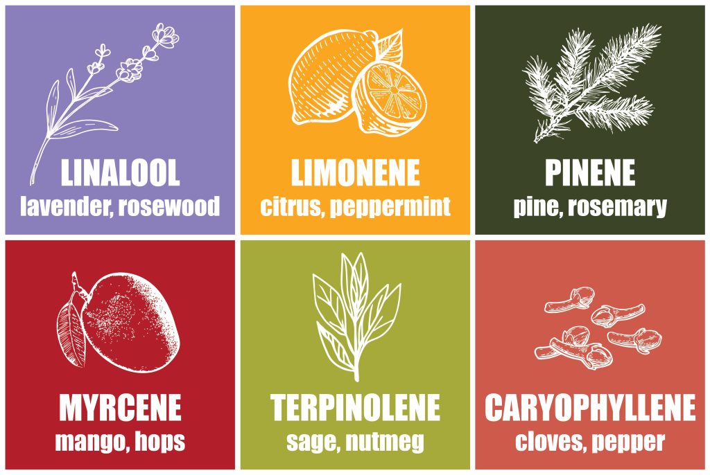 terpene chart