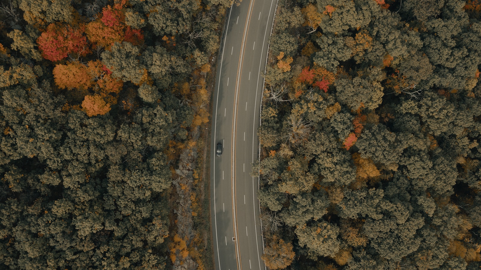 black car on road during daytime